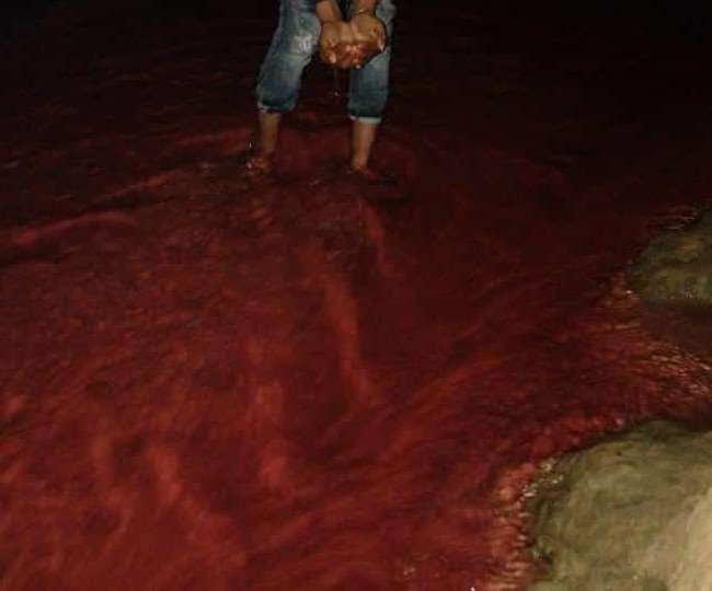 12 02 2022 river water is red in bihar 22460719 jpg 80
