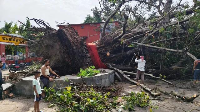 नवगछिया में रेलवे ट्रैक पर गिरा पेड़, कई ट्रेनों का परिचालन प्रभावित