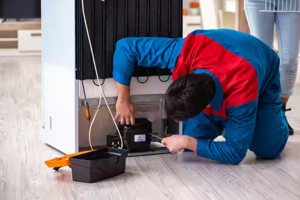 default refrigerator repair and services 4 jpg 75