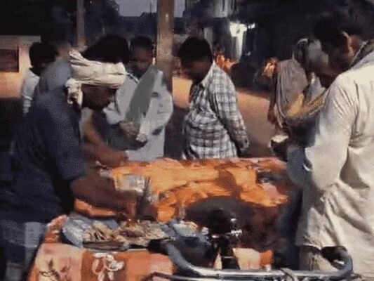 नवगछिया : बंदर की मौत पर रो पड़ा गांव, हिंदू रीति से हुआ अंतिम संस्कार